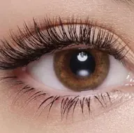 【3月限定★】バインドロック80束(240本)オフ込￥6400