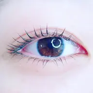 リセットパーマ付《上下ラッシュリフト/まつげパーマ》上下あてることで目力UP☆リピーター様¥6,160