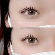 フラットラッシュ100本［オフ代別途¥550]
