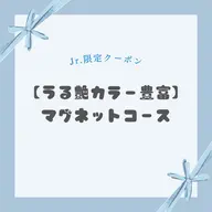 【Jrネイリスト限定】《カラー豊富》マグネットネイル