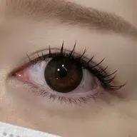 Wフラット40束(80本)