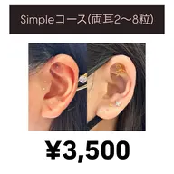❬👼🏻minimo限定❭耳つぼジュエリー👂🏻💎Simple(両耳2​〜​8粒)/耳ツボ