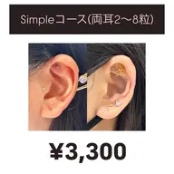 ❬👼🏻minimo限定❭耳つぼジュエリー👂🏻💎Simple(両耳2​〜​8粒)/耳ツボ