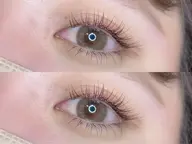 🌙 フラットラッシュ 100本 🌙