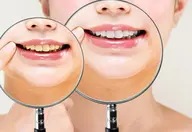 【喫煙者向けメニュー】