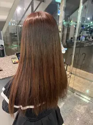美髪トリートメントのみ