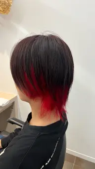 【女性限定】ウルフカット✂️＋Aujua1ステップ