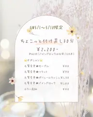 GW5/1​〜​5/10🉐10名様限り🎉ちょこっと付け足し30分(シルク約60本)🎉2200円※補足説明必読
