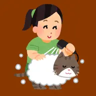 シャンプー＆ブロー