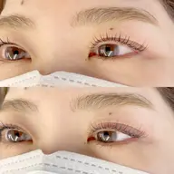 ブラウンカラーフラットラッシュ100本