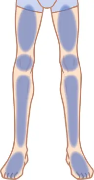 【人気No.3】男性も綺麗に!ツルツル足全体脱毛(カウンセリング込み)¥6,000