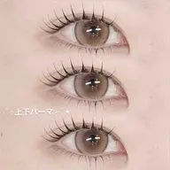 【セットクーポン】🍒上下まつ毛パーマ🍒