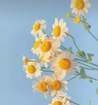 パリジェンヌラッシュリフト➕下まつ毛パーマ🦄トリートメント付(土日祝+500円)