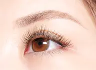 ボリュームラッシュ 500本 柔らか且つカールの落ちにくい毛質を厳選⭐