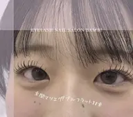 LEDダブルフラットラッシュ　100束