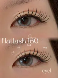 フラットラッシュ160本