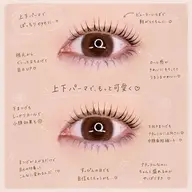 上下ラッシュリフト🌼