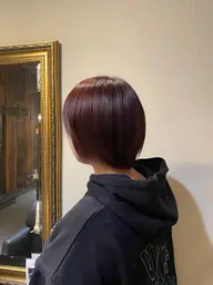 🍀期間限定🍀 ショートカットモデル様️️꙳⟡(シャンプー・ブロー代込🫧)無料で募集中です🐈⸒⸒⸒⸒