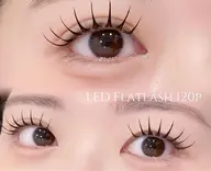 LEDグルー🧸フラット100本🧸オフあり