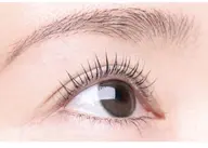 🍎期間限定🍎セット割！眉毛ラミネーション＆WAX＋まつ毛パーマ