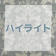 【ハイライトのみ】ハイブリッドシールエクステ17本
