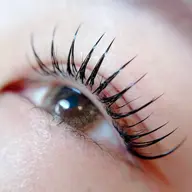 フラットラッシュ140本