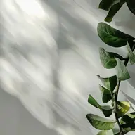 ○Paraジェル/Hand French【付け替えオフ有り】