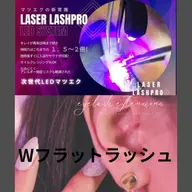 LED💡Wフラットラッシュ上