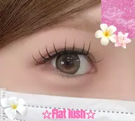 🎀【フラットラッシュ80~100本】🎀              オフあり🙆🏼‍♀️［八王子/マツエク］