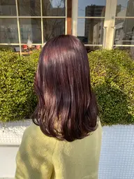 ⭕️新規様限定クーポン⭕️似合わせカット➕透明感カラー➕2stepトリートメント☘️ツヤ感UP