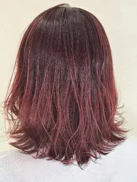 【ブリーチせずに明るくしたい】ダブルカラー+カット+バイカルテトリートメント