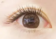 120本☆ミンク4980円/セーブル5500円/フラット6000円(オフ込)