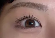 【4月限定！！】まつ毛パーマ＋オプションD-MAX育毛剤付   通常6600円→3850円《3名限定！》