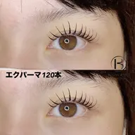 『平日限定』エクパーマ120本