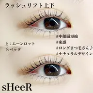 ミニモ限定💡選べるラッシュリフト上下特別価格！！