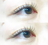 《ご新規様》フラットラッシュ120本