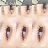 バインドロック🥀120束<240本>