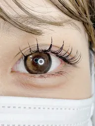 最新！！♢LEDエクステ ボリュームラッシュ300本/フラットラッシュ120本