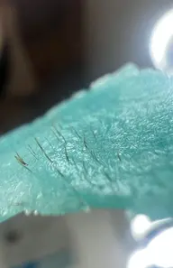 【産毛＆角質ケア🌱】艶肌×フェイシャル脱毛WAX(全顔)