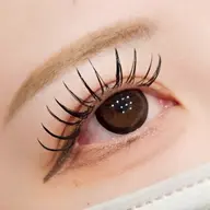 フラットラッシュ100本