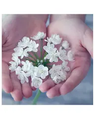 ハンドネイル オフのみ🫶サービスでクリアマニキュア込✨