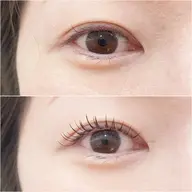 【4月限定🌸】フラットラッシュ100本🪽