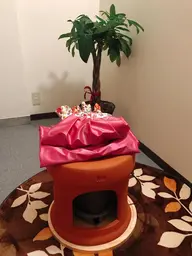 [平日限定]女性人気★黄土よもぎ蒸し40分￥2900