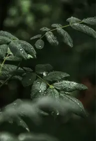 【オフなし】ハンドケア(ウォーターケア)🌿.∘