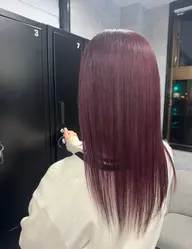 ダブルカラーモデル