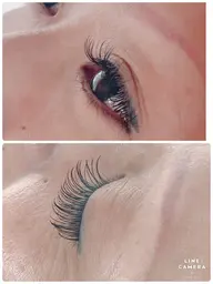 フラットラッシュ120本