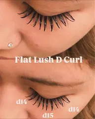 フラットラッシュ150本