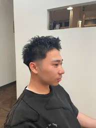 カットモデル