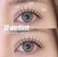 💡アップワード×フラットラッシュ​〜​100本🌼❕詳細必読※付け足し不可、オフあり可(💌で有無お願いします)