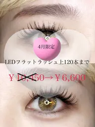 🌸4月限定クーポン🌸LEDフラットラッシュ上120本¥6600✨本数相談可能!